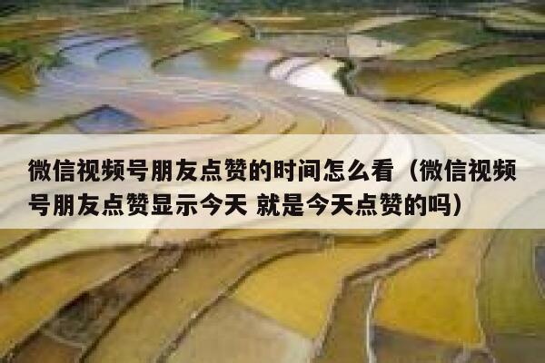 微信视频号朋友点赞的时间怎么看（微信视频号朋友点赞显示今天 就是今天点赞的吗） 第1张