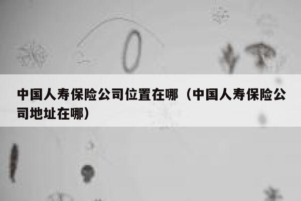 中国人寿保险公司位置在哪(中国人寿保险公司地址在哪) 第1张 中国人寿保险公司位置在哪(中国人寿保险公司地址在哪) 第1张
