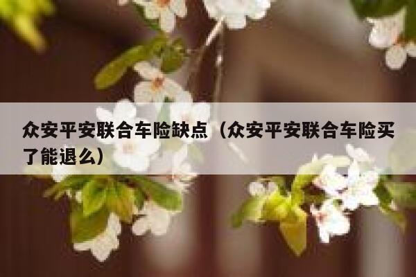 众安平安联合车险缺点（众安平安联合车险买了能退么） 第1张