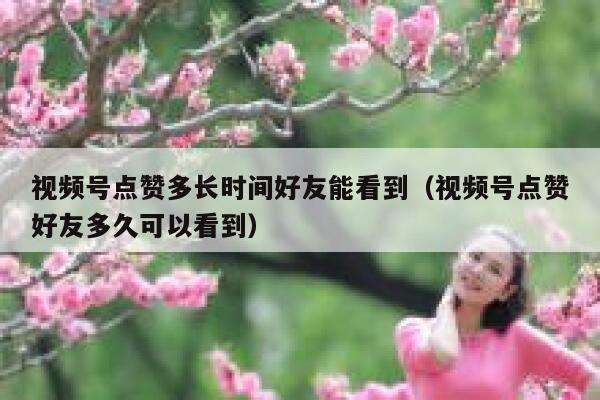 视频号点赞多长时间好友能看到(视频号点赞好友多久可以看到) 第1张 视频号点赞多长时间好友能看到(视频号点赞好友多久可以看到) 第1张