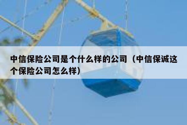 中信保险公司是个什么样的公司（中信保诚这个保险公司怎么样） 第1张