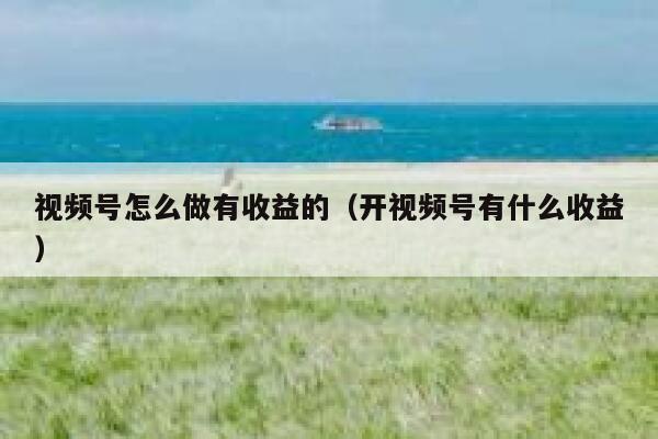 视频号怎么做有收益的（开视频号有什么收益） 第1张