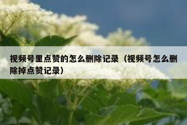 视频号里点赞的怎么删除记录（视频号怎么删除掉点赞记录） 第1张