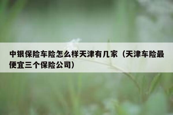 中银保险车险怎么样天津有几家(天津车险最便宜三个保险公司) 第1张 中银保险车险怎么样天津有几家(天津车险最便宜三个保险公司) 第1张