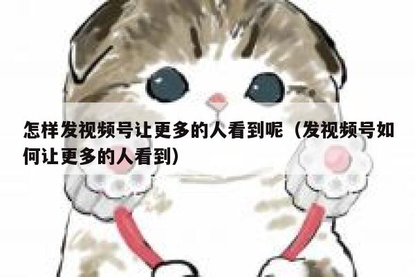 怎样发视频号让更多的人看到呢(发视频号如何让更多的人看到) 第1张 怎样发视频号让更多的人看到呢(发视频号如何让更多的人看到) 第1张