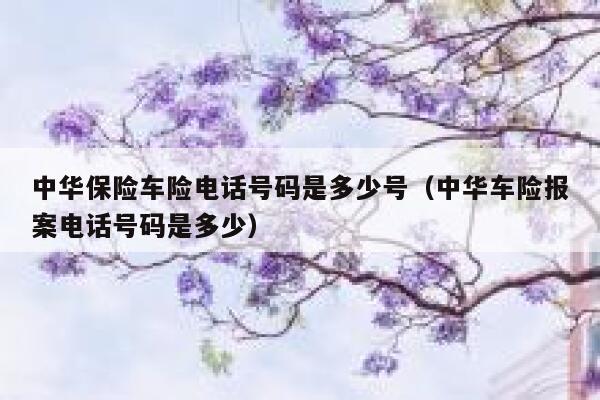 中华保险车险电话号码是多少号（中华车险报案电话号码是多少） 第1张