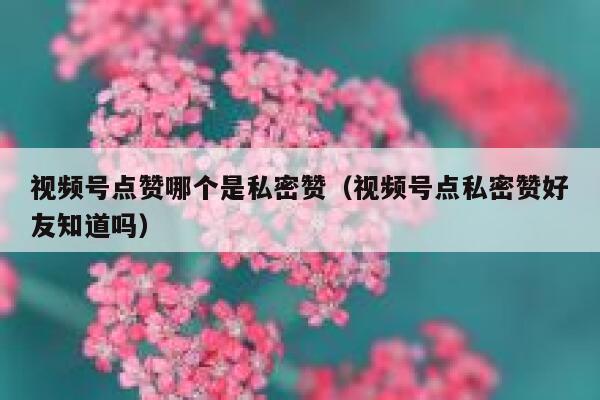 视频号点赞哪个是私密赞(视频号点私密赞好友知道吗) 第1张 视频号点赞哪个是私密赞(视频号点私密赞好友知道吗) 第1张