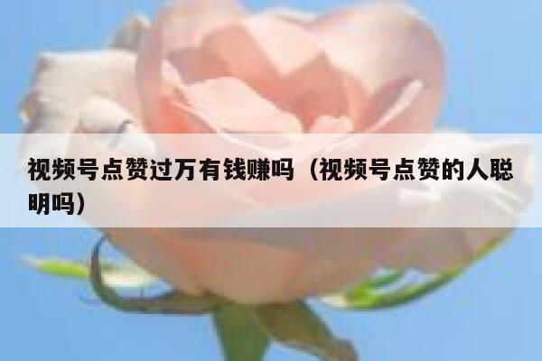 视频号点赞过万有钱赚吗(视频号点赞的人聪明吗) 第1张 视频号点赞过万有钱赚吗(视频号点赞的人聪明吗) 第1张