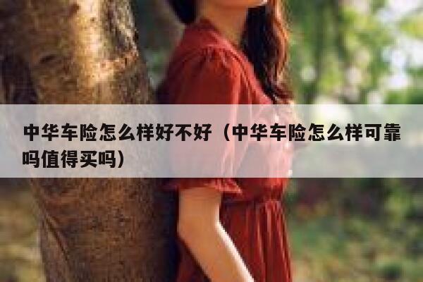 中华车险怎么样好不好(中华车险怎么样可靠吗值得买吗) 第1张 中华车险怎么样好不好(中华车险怎么样可靠吗值得买吗) 第1张
