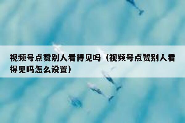 视频号点赞别人看得见吗（视频号点赞别人看得见吗怎么设置） 第1张