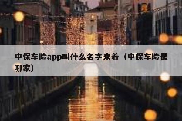 中保车险app叫什么名字来着（中保车险是哪家） 第1张