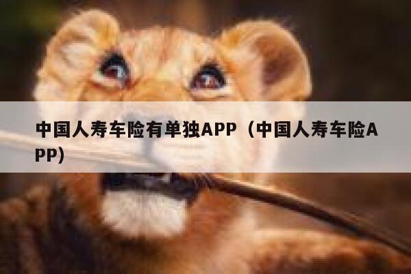 中国人寿车险有单独APP（中国人寿车险APP） 第1张