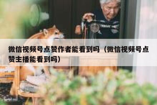 微信视频号点赞作者能看到吗（微信视频号点赞主播能看到吗） 第1张