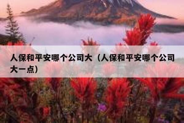人保和平安哪个公司大(人保和平安哪个公司大一点) 第1张 人保和平安哪个公司大(人保和平安哪个公司大一点) 第1张