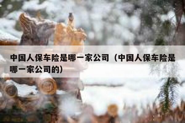 中国人保车险是哪一家公司(中国人保车险是哪一家公司的) 第1张 中国人保车险是哪一家公司(中国人保车险是哪一家公司的) 第1张
