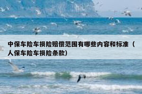 中保车险车损险赔偿范围有哪些内容和标准(人保车险车损险条款) 第1张 中保车险车损险赔偿范围有哪些内容和标准(人保车险车损险条款) 第1张