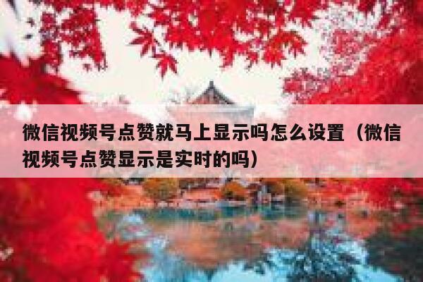 微信视频号点赞就马上显示吗怎么设置(微信视频号点赞显示是实时的吗) 第1张 微信视频号点赞就马上显示吗怎么设置(微信视频号点赞显示是实时的吗) 第1张