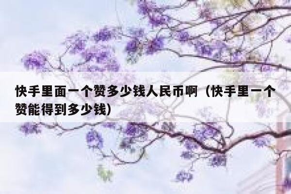 快手里面一个赞多少钱人民币啊（快手里一个赞能得到多少钱） 第1张