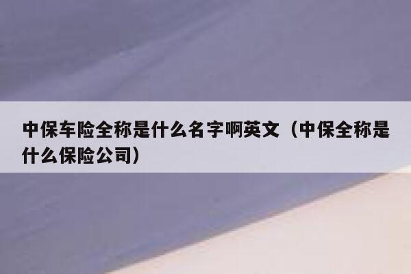 中保车险全称是什么名字啊英文（中保全称是什么保险公司） 第1张