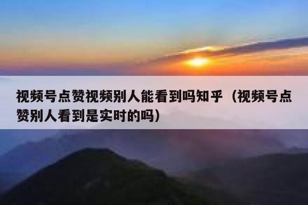 视频号点赞视频别人能看到吗知乎（视频号点赞别人看到是实时的吗） 第1张