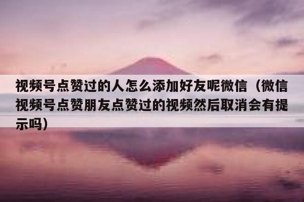视频号点赞过的人怎么添加好友呢微信（微信视频号点赞朋友点赞过的视频然后取消会有提示吗） 第1张