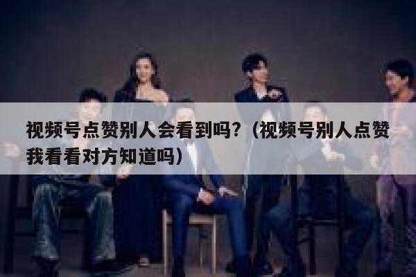 视频号点赞别人会看到吗?(视频号别人点赞我看看对方知道吗) 第1张 视频号点赞别人会看到吗?(视频号别人点赞我看看对方知道吗) 第1张