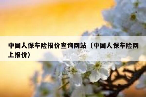 中国人保车险报价查询网站(中国人保车险网上报价) 第1张 中国人保车险报价查询网站(中国人保车险网上报价) 第1张