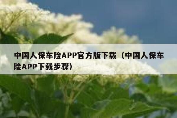 中国人保车险APP官方版下载（中国人保车险APP下载步骤） 第1张