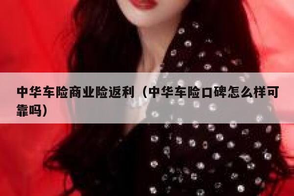 中华车险商业险返利（中华车险口碑怎么样可靠吗） 第1张