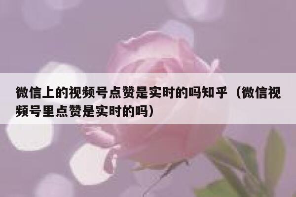 微信上的视频号点赞是实时的吗知乎（微信视频号里点赞是实时的吗） 第1张
