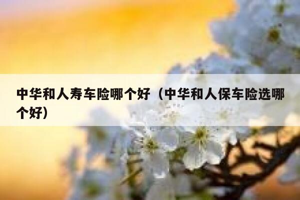 中华和人寿车险哪个好(中华和人保车险选哪个好) 第1张 中华和人寿车险哪个好(中华和人保车险选哪个好) 第1张