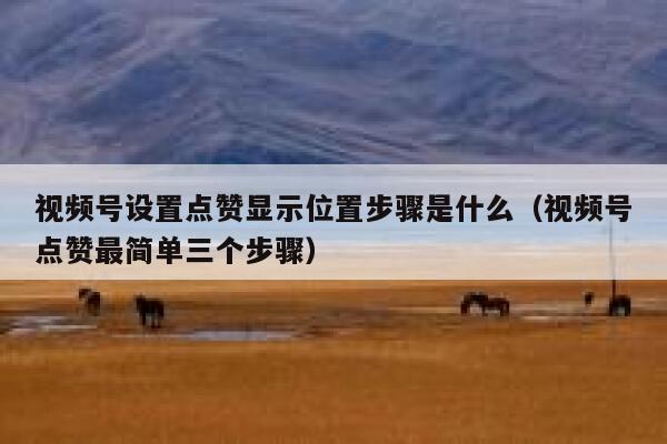 视频号设置点赞显示位置步骤是什么(视频号点赞最简单三个步骤) 第1张 视频号设置点赞显示位置步骤是什么(视频号点赞最简单三个步骤) 第1张