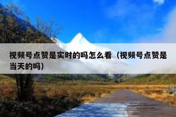 视频号点赞是实时的吗怎么看（视频号点赞是当天的吗） 第1张