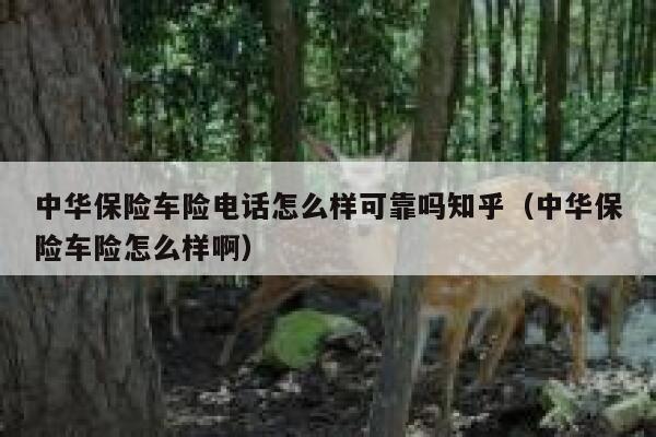 中华保险车险电话怎么样可靠吗知乎(中华保险车险怎么样啊) 第1张 中华保险车险电话怎么样可靠吗知乎(中华保险车险怎么样啊) 第1张