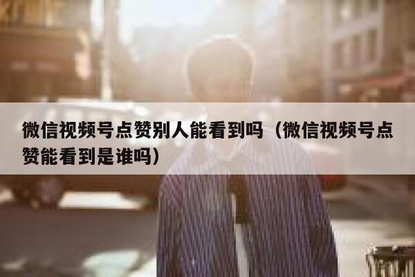 微信视频号点赞别人能看到吗（微信视频号点赞能看到是谁吗） 第1张