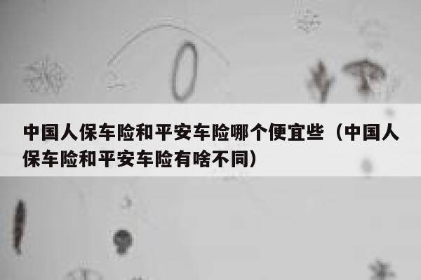 中国人保车险和平安车险哪个便宜些(中国人保车险和平安车险有啥不同) 第1张 中国人保车险和平安车险哪个便宜些(中国人保车险和平安车险有啥不同) 第1张