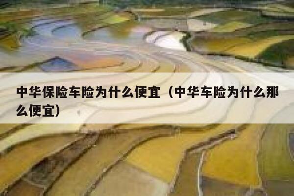 中华保险车险为什么便宜(中华车险为什么那么便宜) 第1张 中华保险车险为什么便宜(中华车险为什么那么便宜) 第1张