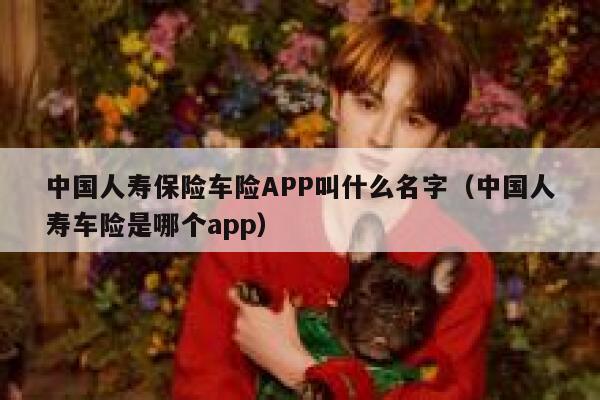 中国人寿保险车险APP叫什么名字(中国人寿车险是哪个app) 第1张 中国人寿保险车险APP叫什么名字(中国人寿车险是哪个app) 第1张