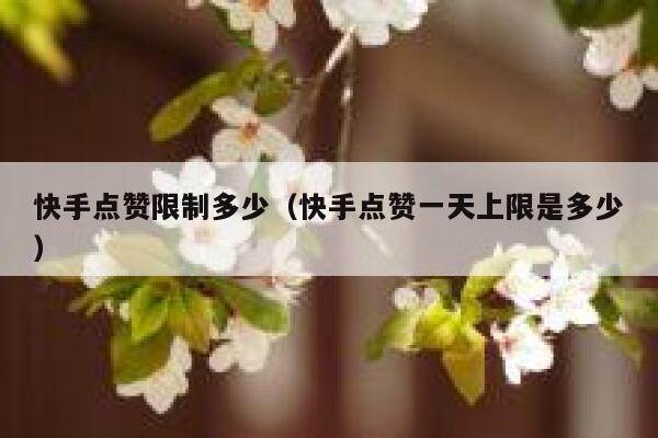 快手点赞限制多少（快手点赞一天上限是多少） 第1张
