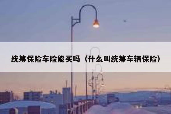 统筹保险车险能买吗(什么叫统筹车辆保险) 第1张 统筹保险车险能买吗(什么叫统筹车辆保险) 第1张