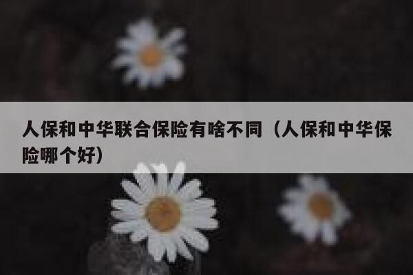 人保和中华联合保险有啥不同(人保和中华保险哪个好) 第1张 人保和中华联合保险有啥不同(人保和中华保险哪个好) 第1张