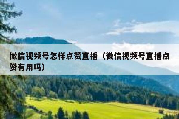 微信视频号怎样点赞直播（微信视频号直播点赞有用吗） 第1张