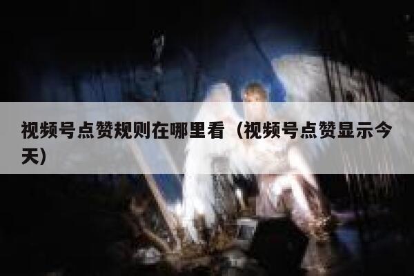 视频号点赞规则在哪里看（视频号点赞显示今天） 第1张