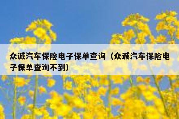 众诚汽车保险电子保单查询（众诚汽车保险电子保单查询不到） 第1张