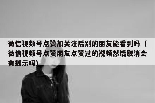 微信视频号点赞加关注后别的朋友能看到吗（微信视频号点赞朋友点赞过的视频然后取消会有提示吗） 第1张