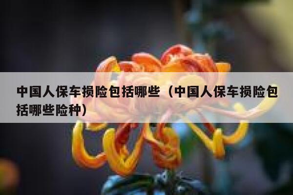 中国人保车损险包括哪些（中国人保车损险包括哪些险种） 第1张