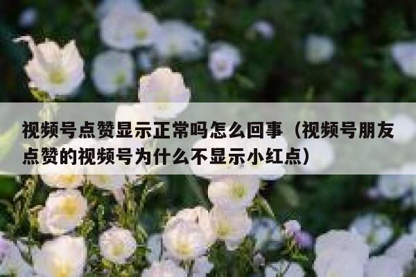 视频号点赞显示正常吗怎么回事（视频号朋友点赞的视频号为什么不显示小红点） 第1张
