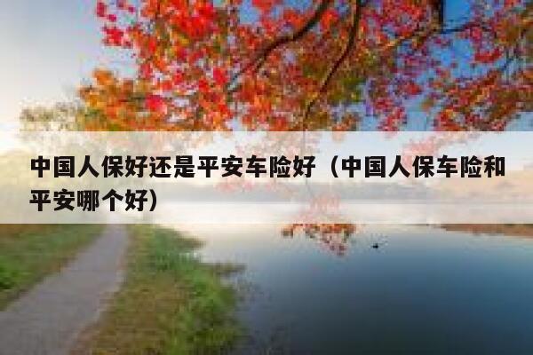 中国人保好还是平安车险好（中国人保车险和平安哪个好） 第1张