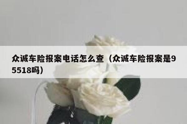 众诚车险报案电话怎么查（众诚车险报案是95518吗） 第1张
