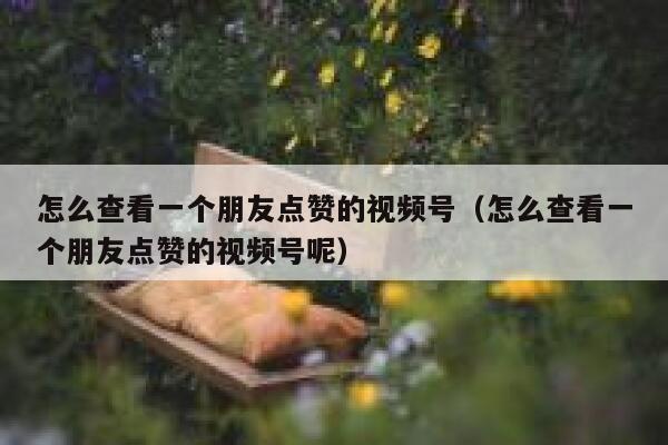 怎么查看一个朋友点赞的视频号（怎么查看一个朋友点赞的视频号呢） 第1张
